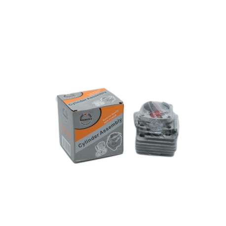 SET MOTOR PT DRUJBA(52)