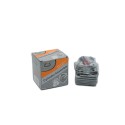 SET MOTOR PT DRUJBA(52)